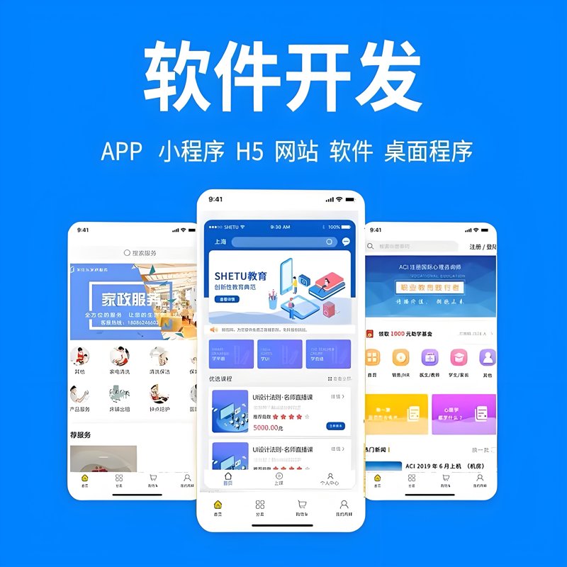 软件开发定制：构建未来的核心动力