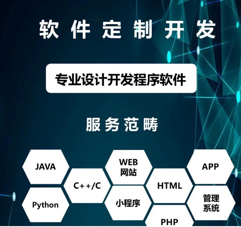 软件开发定制：构建未来的核心动力